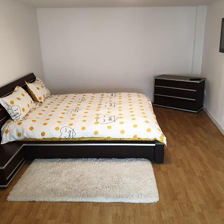 Studio Centrul Istoric Sibiu Apartment Екстериор снимка
